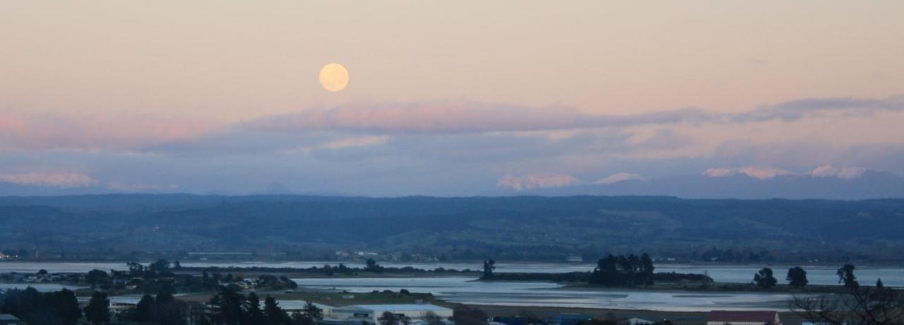 Tahuna Hills Guesthouse เนลสัน ภายนอก รูปภาพ
